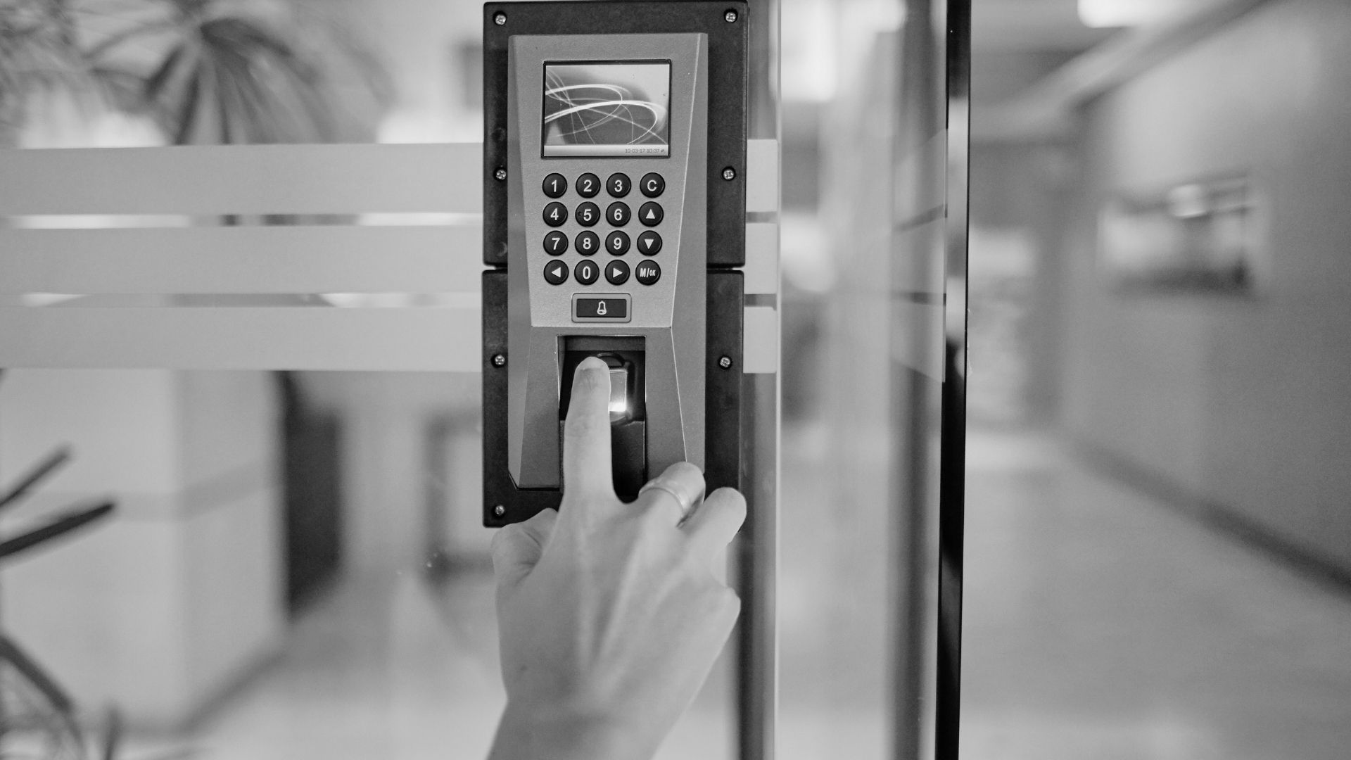 Crowd Safety & Security