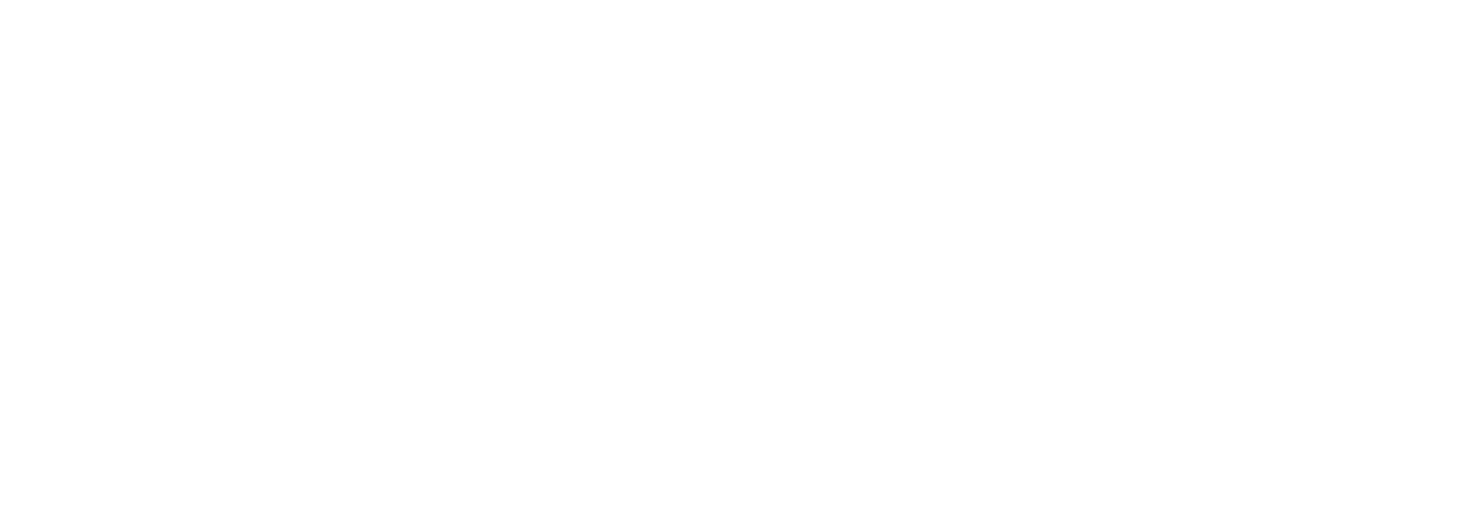 Bespoke Security & Facilities Services